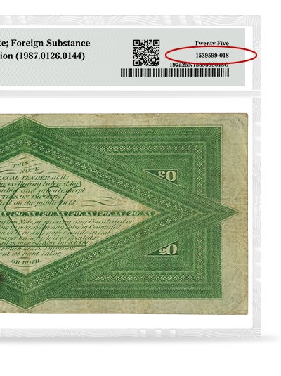 Paper Money Album For 40 Certified Banknotes – Holds PMG/PCGS Graded Notes